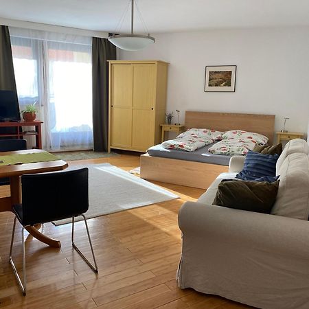 Apartment Grazbachgasse - Gratis Tiefgaragenplatz Buitenkant foto